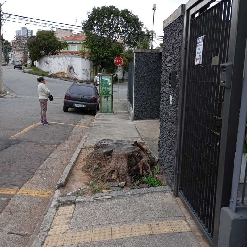 Imagem da publicação