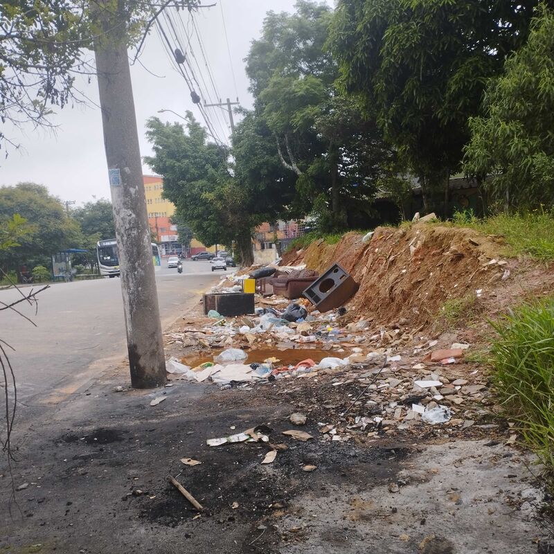 Imagem da publicação