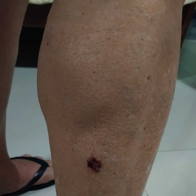 Imagem da publicação