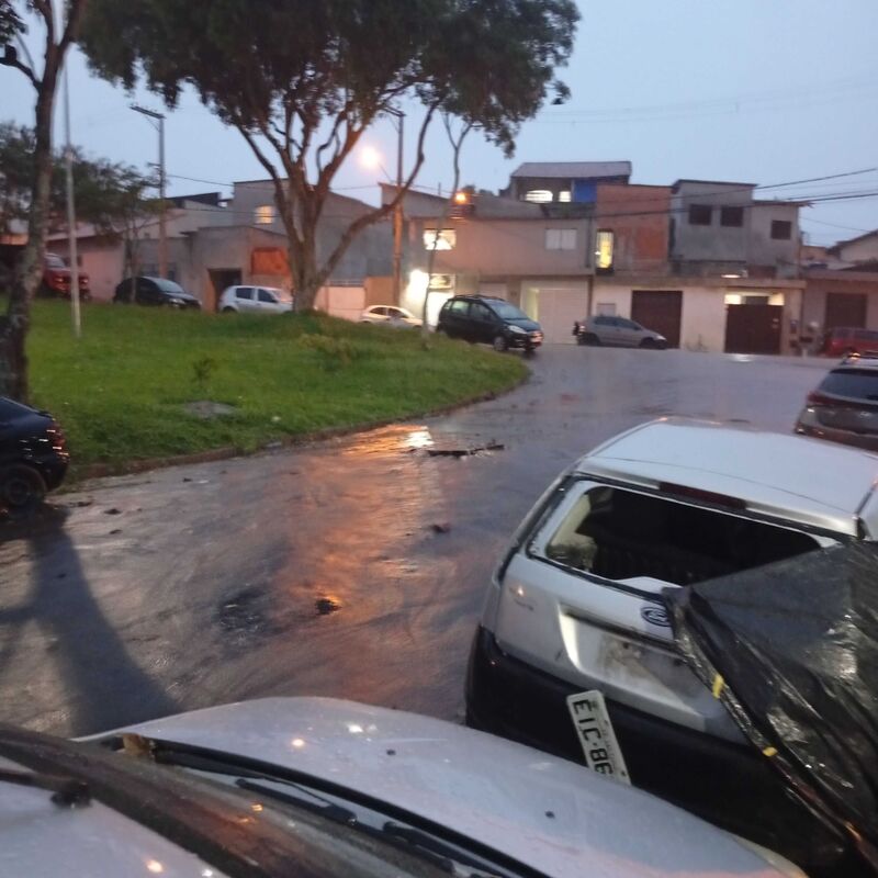 Imagem da publicação