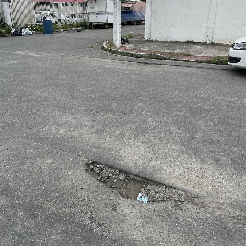 Imagem da publicação