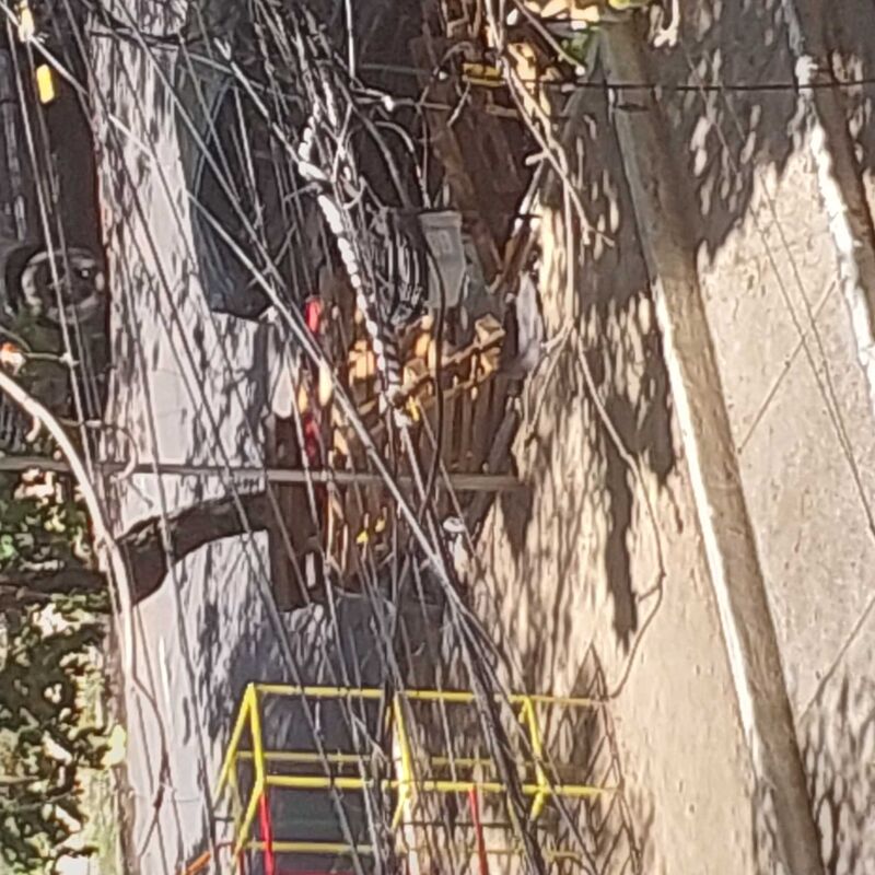 Imagem da publicação