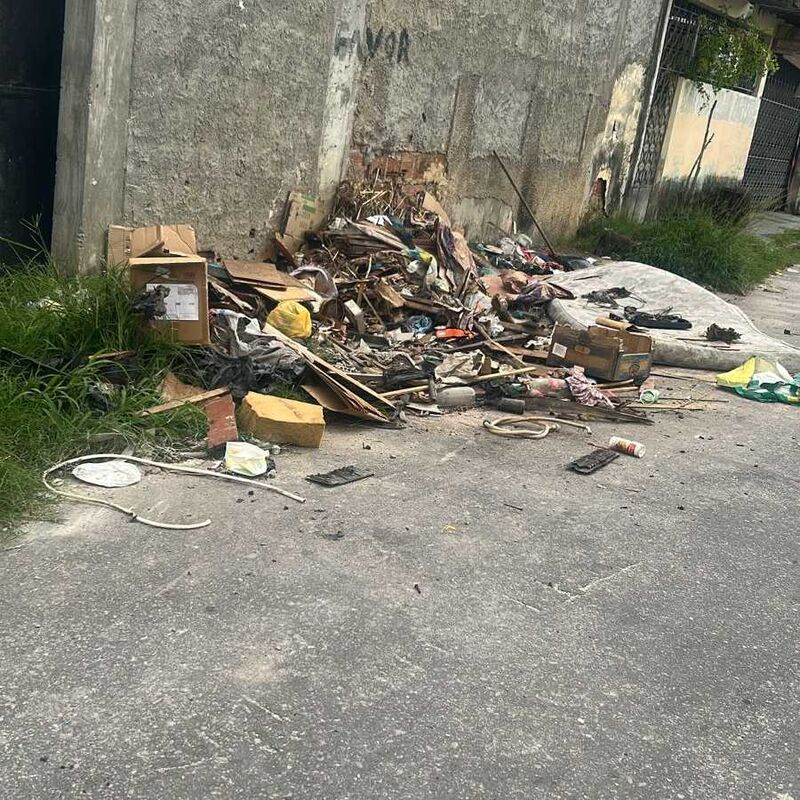 Imagem da publicação