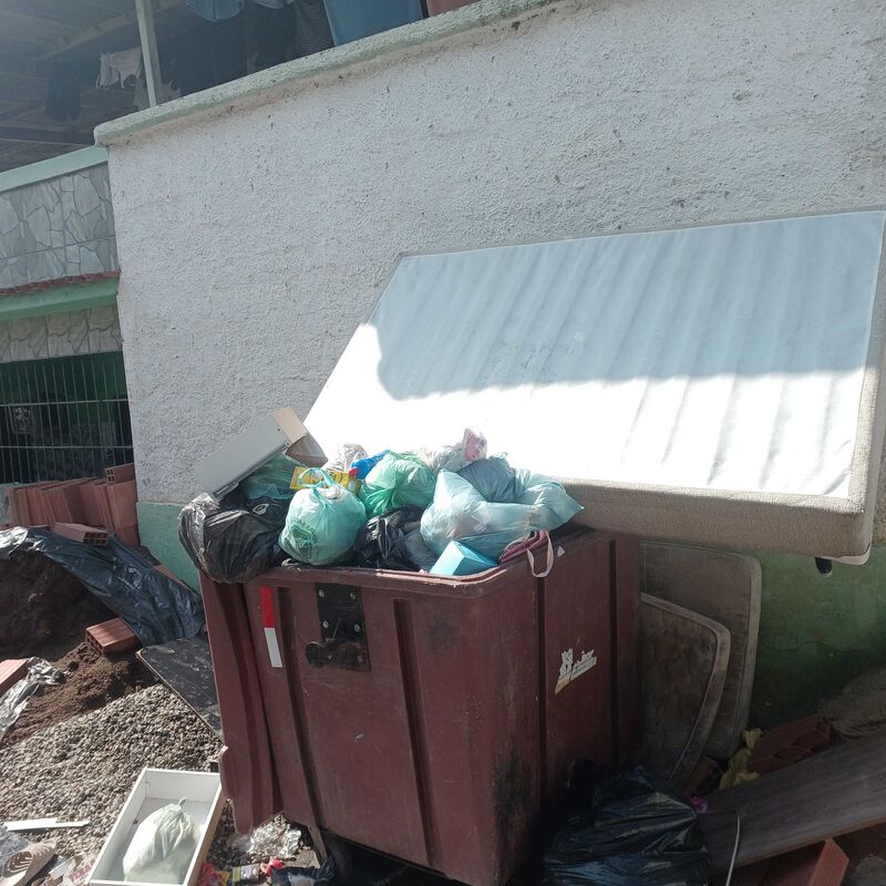 Imagem da publicação