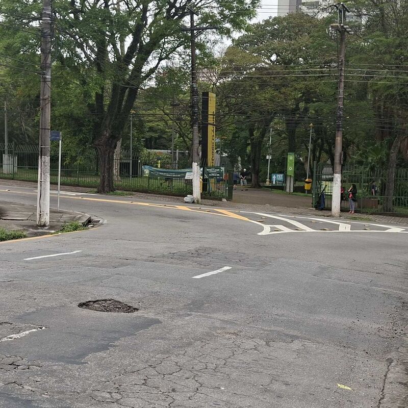 Imagem da publicação