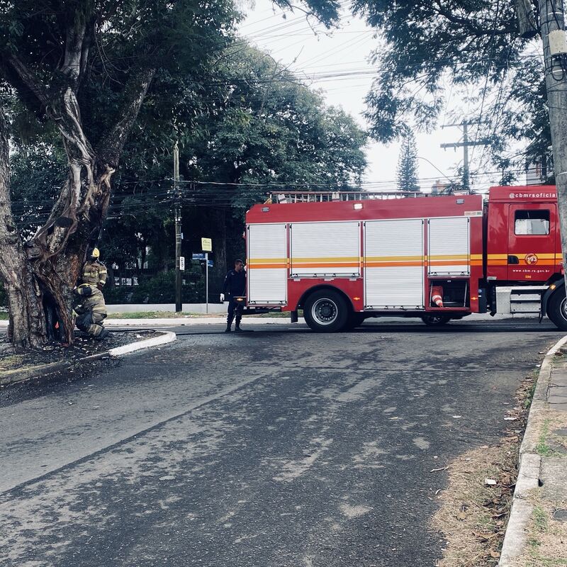 Imagem da publicação