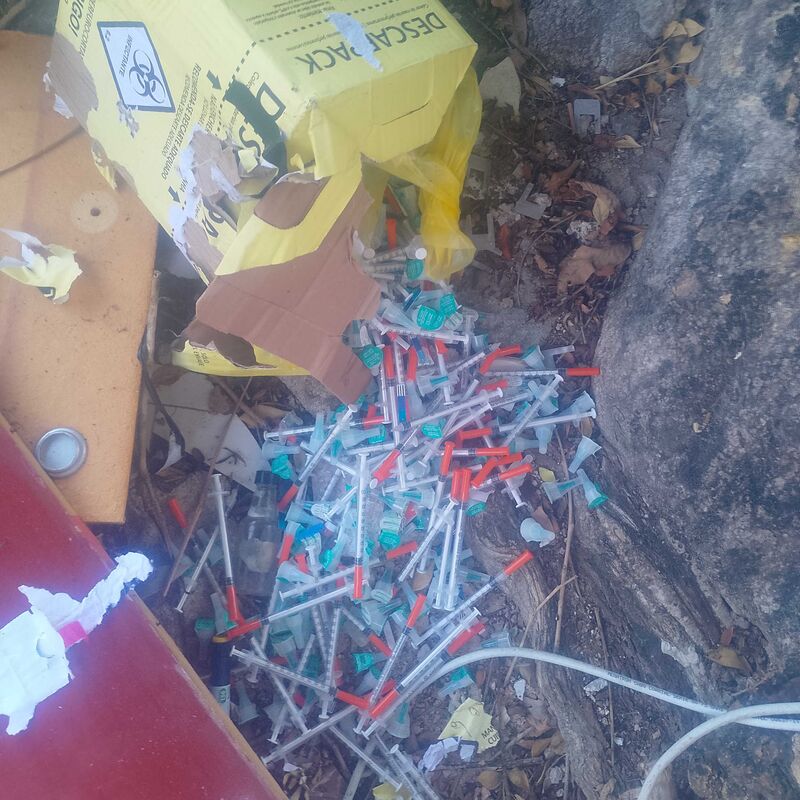 Imagem da publicação
