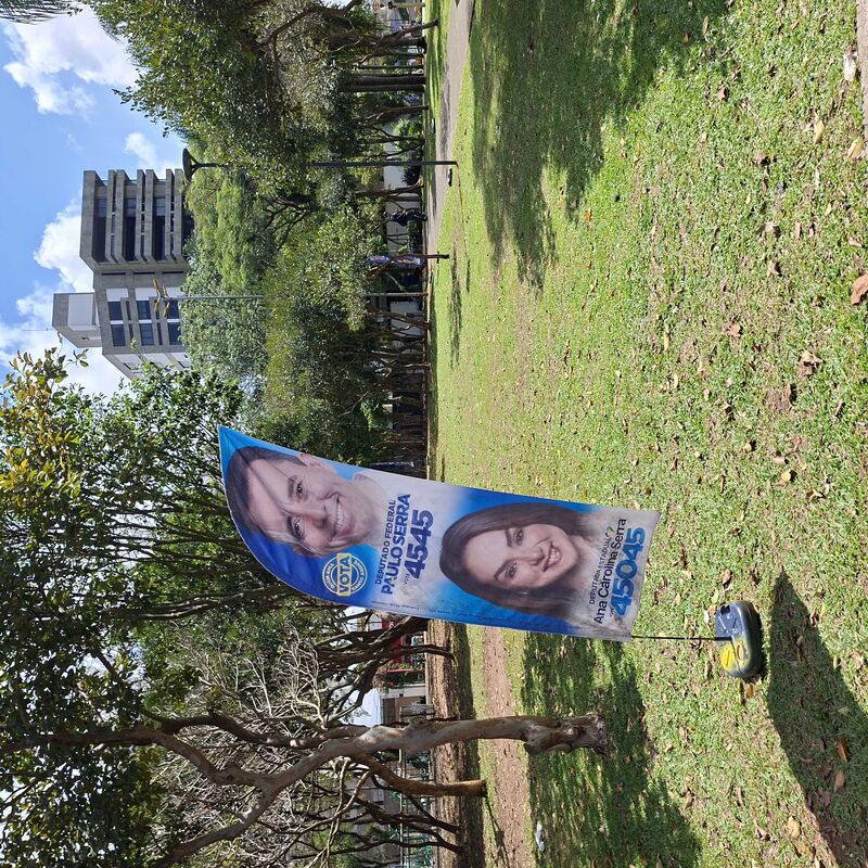 Imagem da publicação