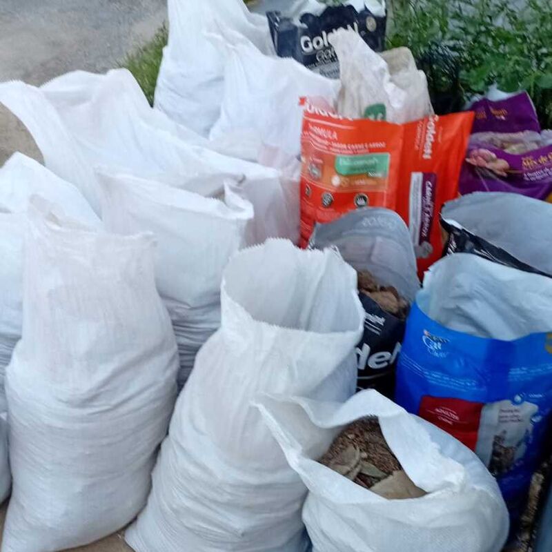 Imagem da publicação