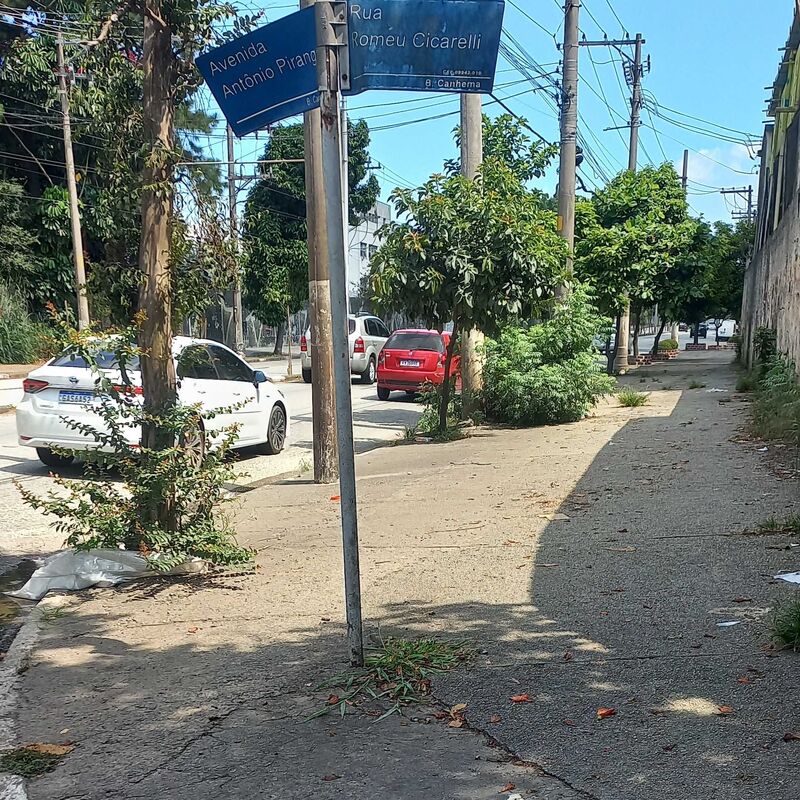 Imagem da publicação