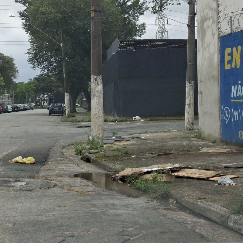 Imagem da publicação