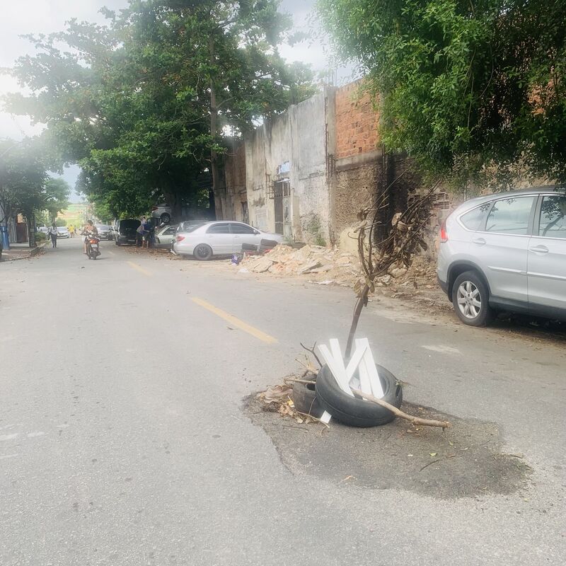 Imagem da publicação