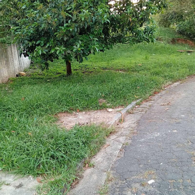 Imagem da publicação