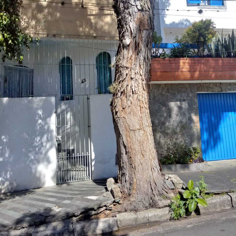 Imagem da publicação