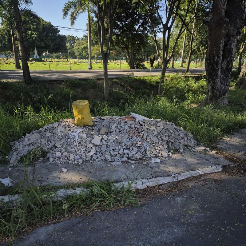 Imagem da publicação