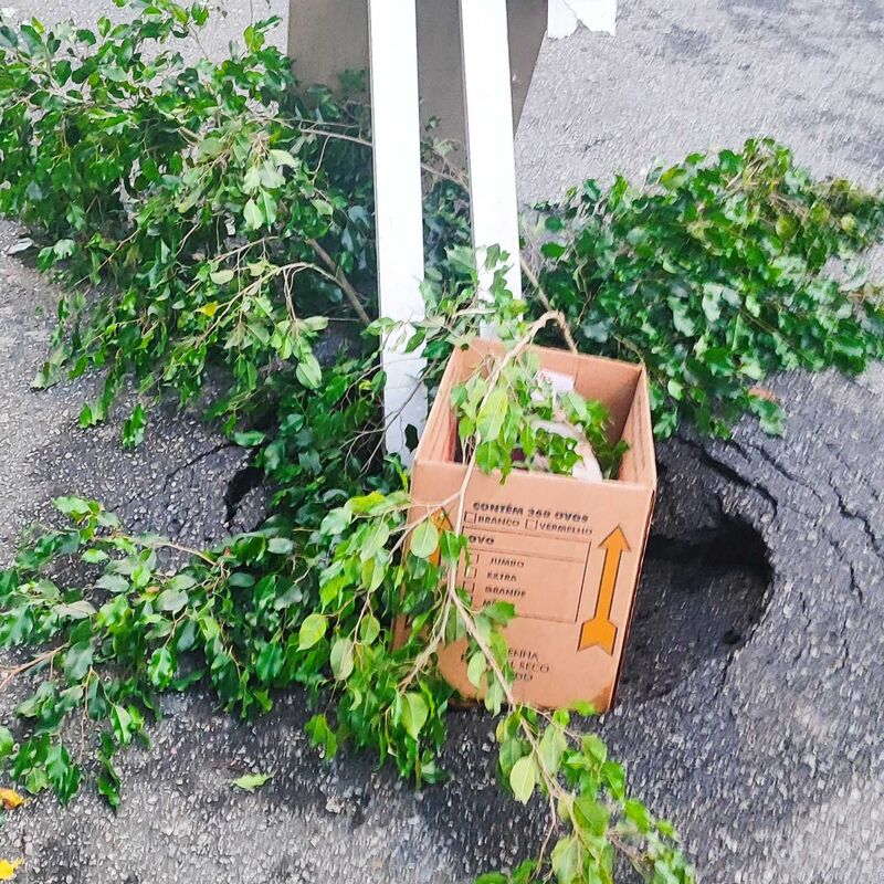 Imagem da publicação
