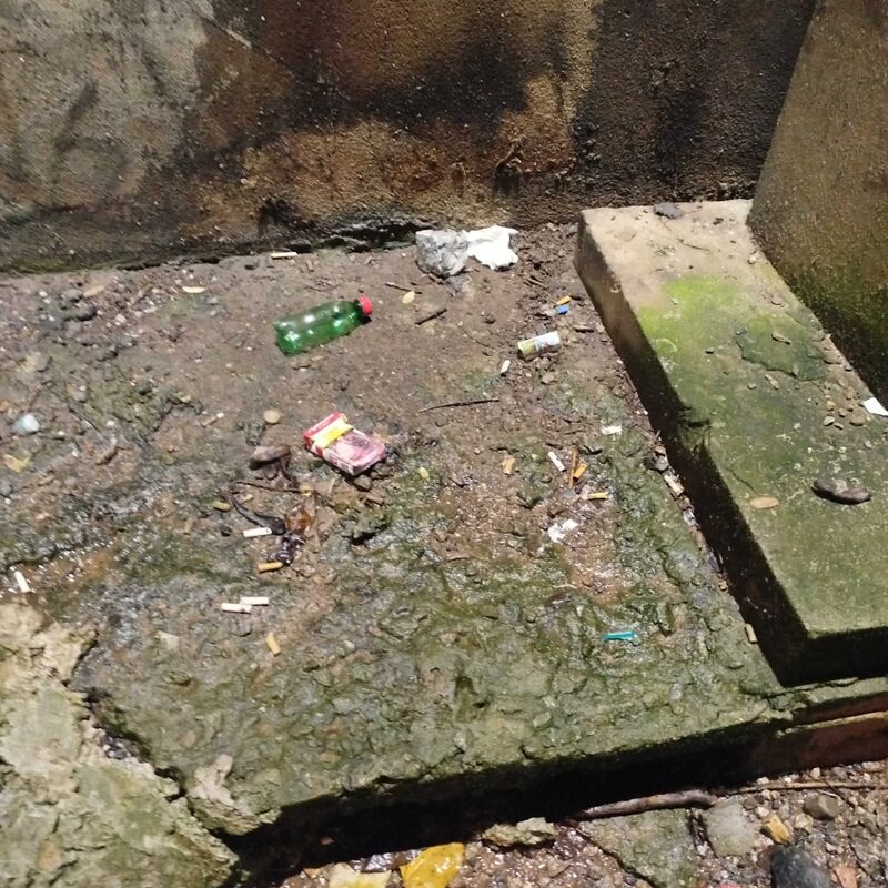 Imagem da publicação