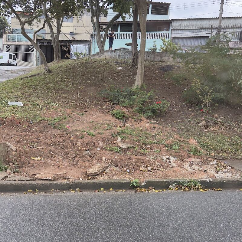 Imagem da publicação