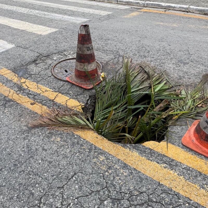 Imagem da publicação