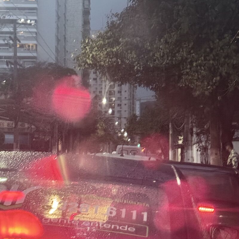 Imagem da publicação