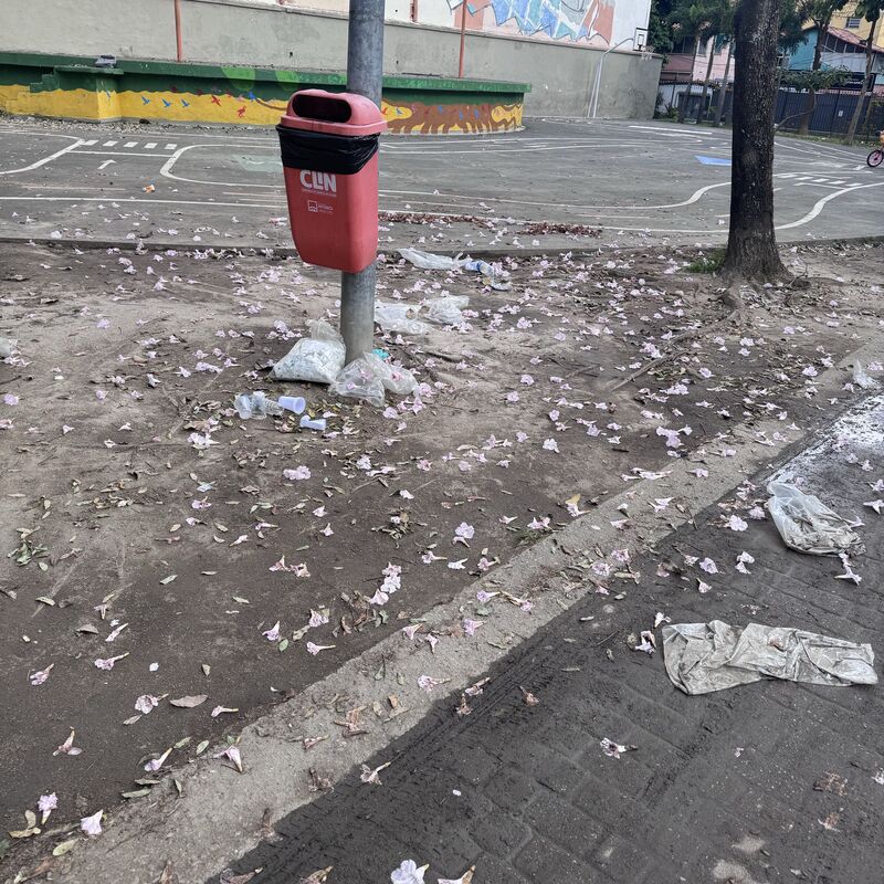 Imagem da publicação