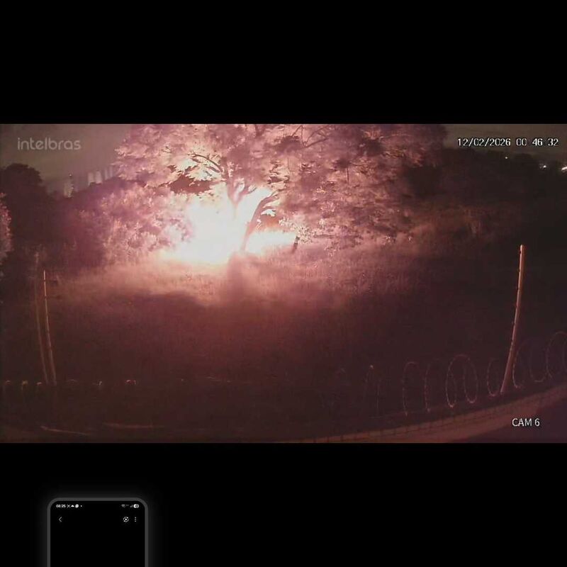 Imagem da publicação