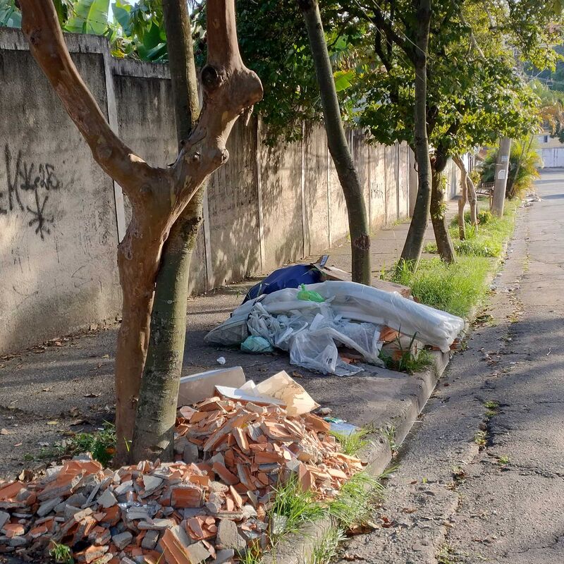 Imagem da publicação