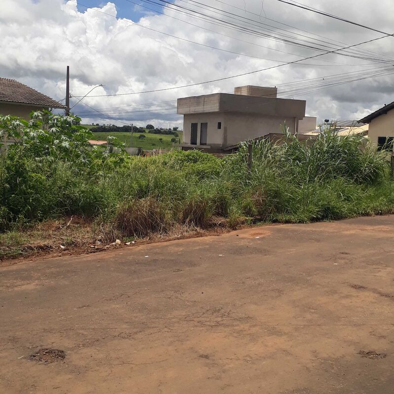 Imagem da publicação