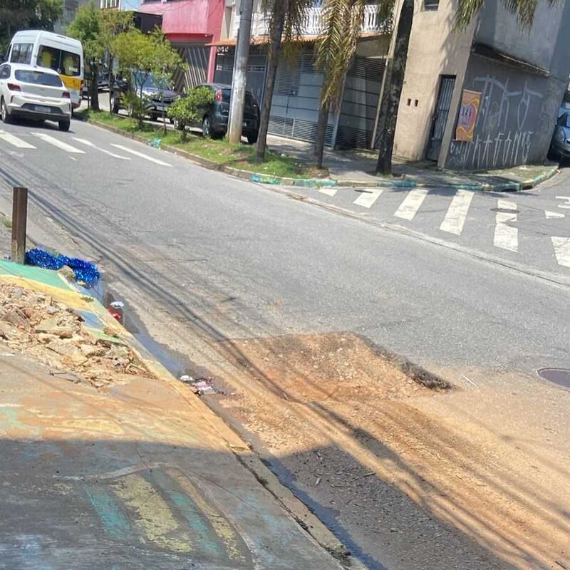 Imagem da publicação
