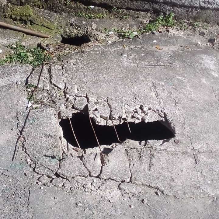 Imagem da publicação