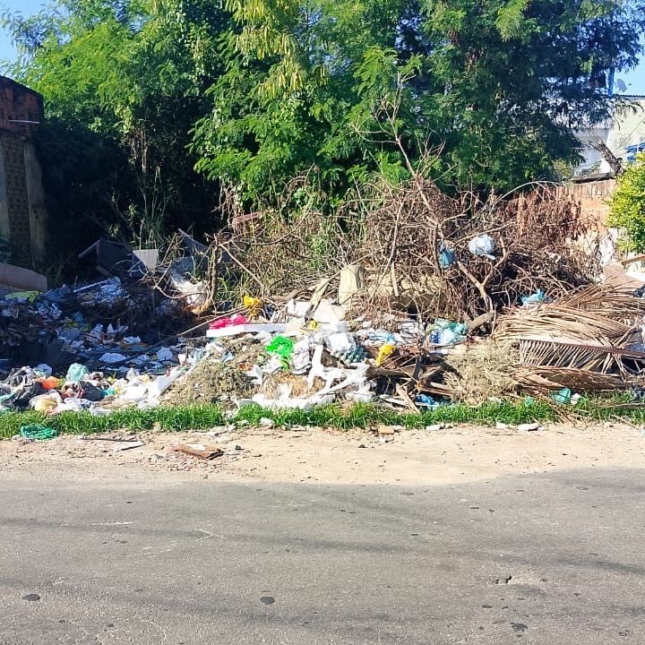 Imagem da publicação