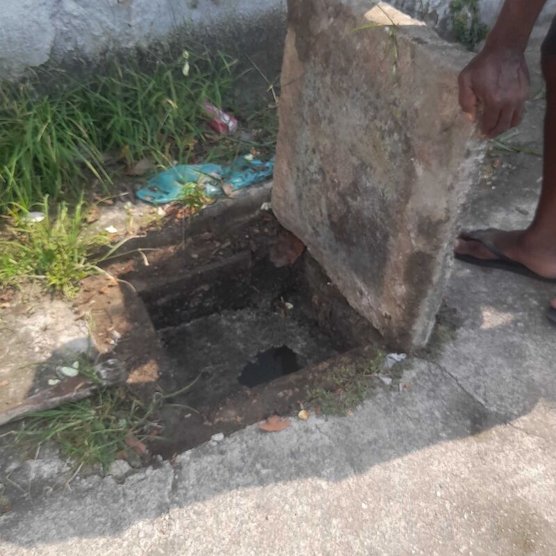 Imagem da publicação