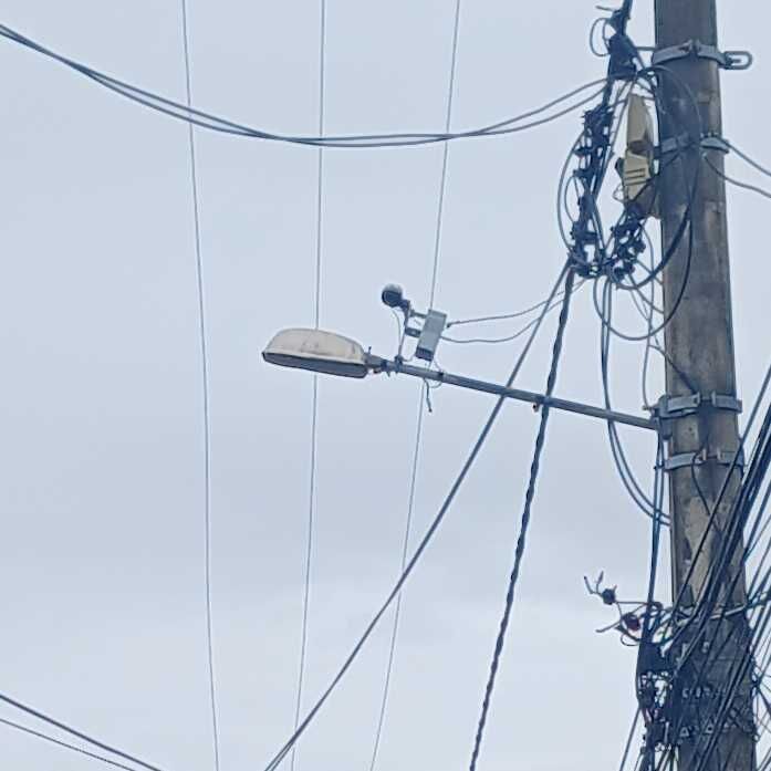 Imagem da publicação