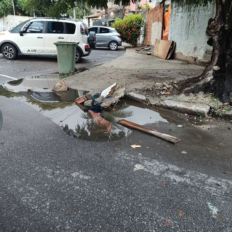 Imagem da publicação
