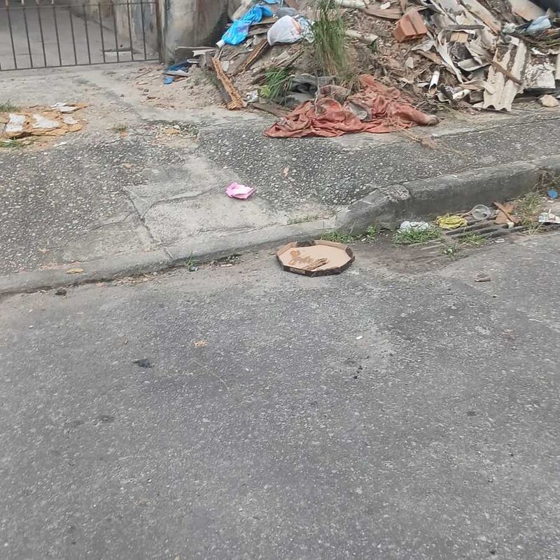 Imagem da publicação