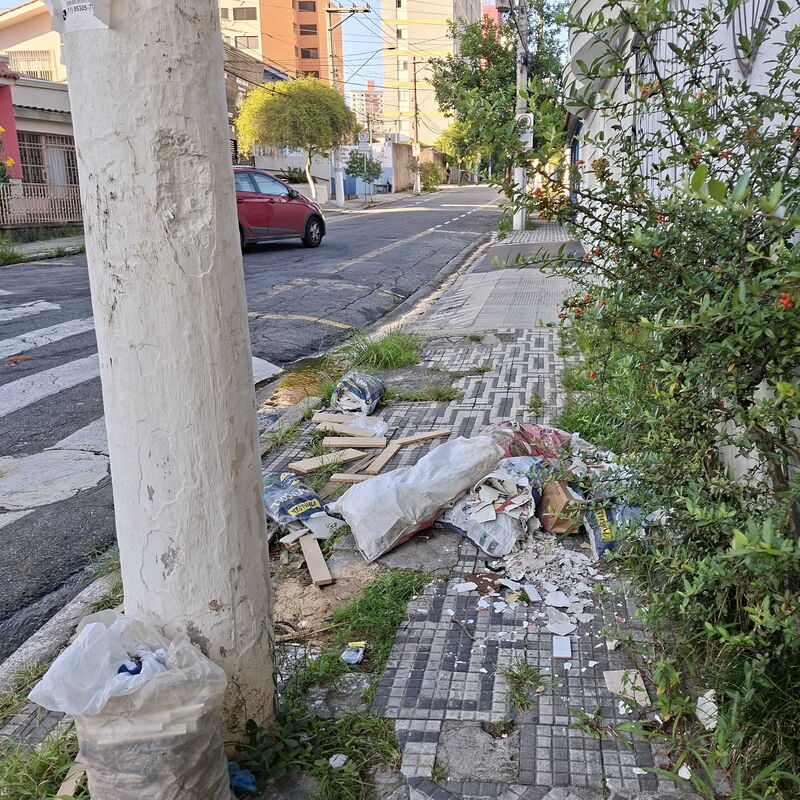 Imagem da publicação