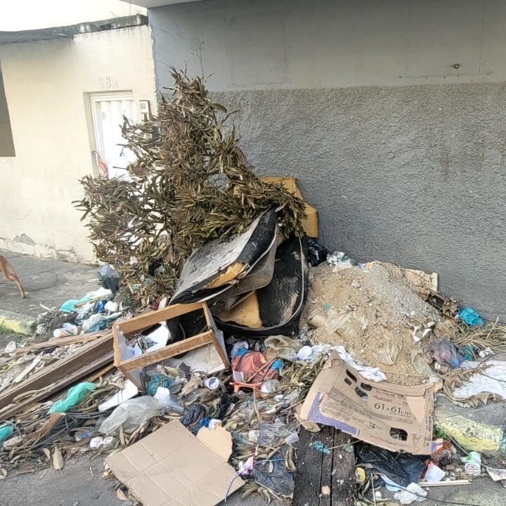Imagem da publicação