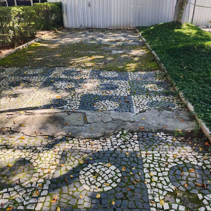Imagem da publicação
