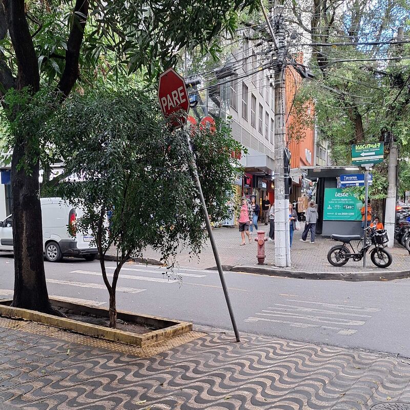 Imagem da publicação