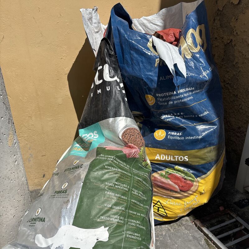 Imagem da publicação