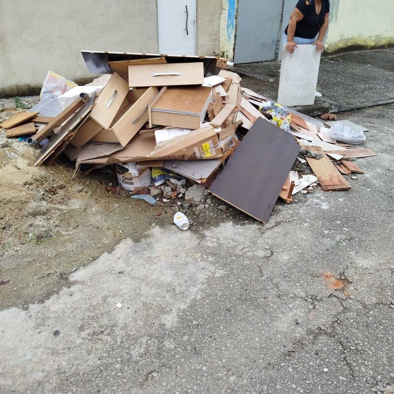Imagem da publicação