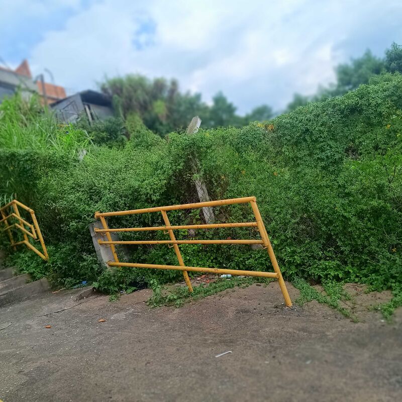 Imagem da publicação