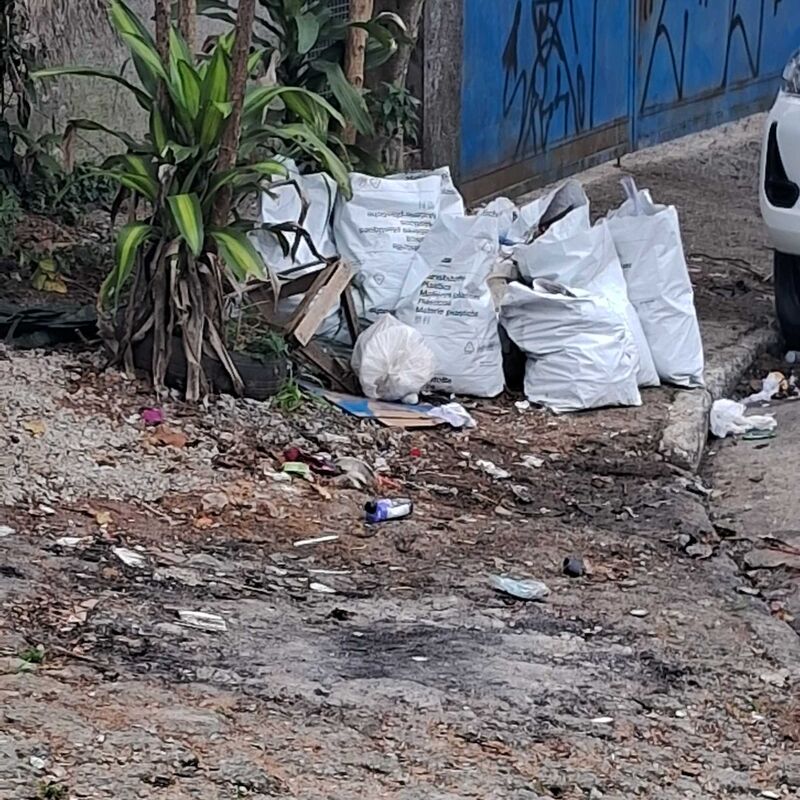 Imagem da publicação