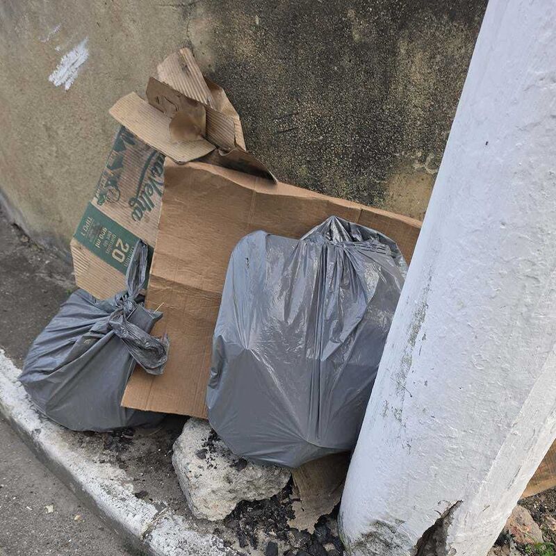 Imagem da publicação