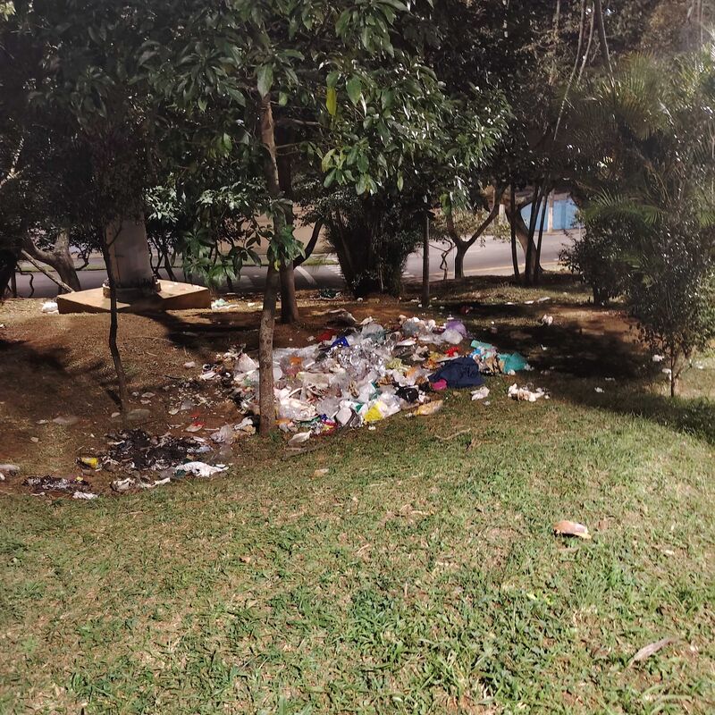 Imagem da publicação