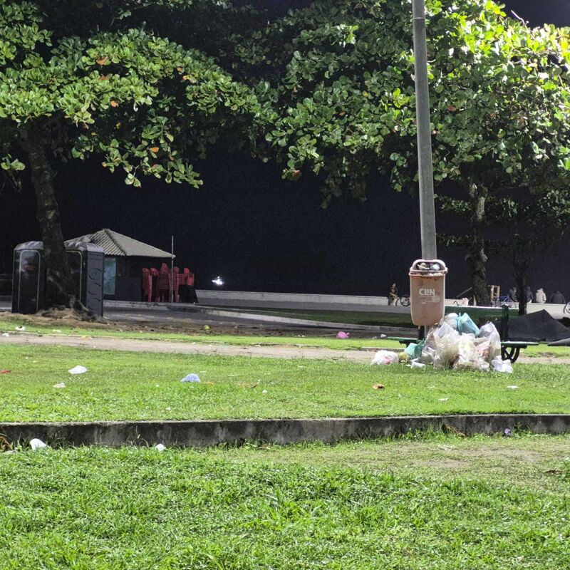 Imagem da publicação