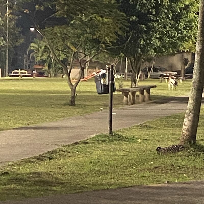 Imagem da publicação