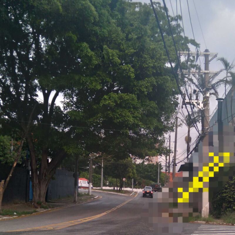 Imagem da publicação