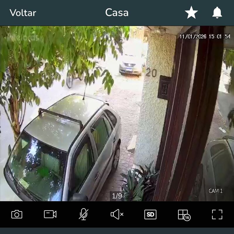 Imagem da publicação