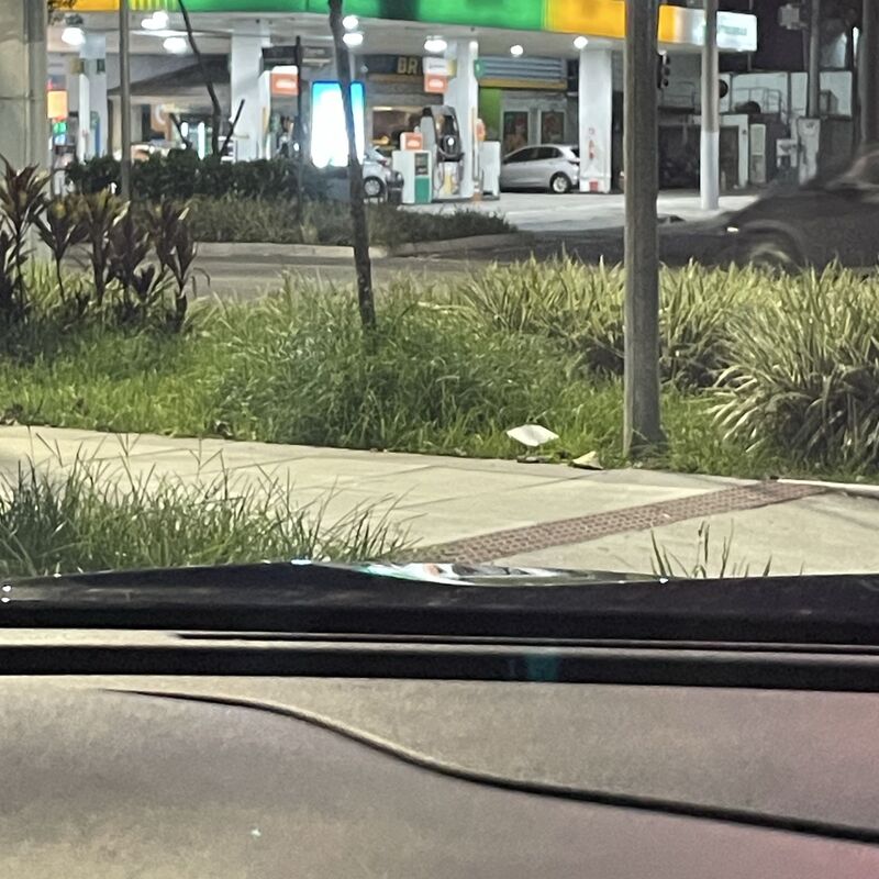 Imagem da publicação